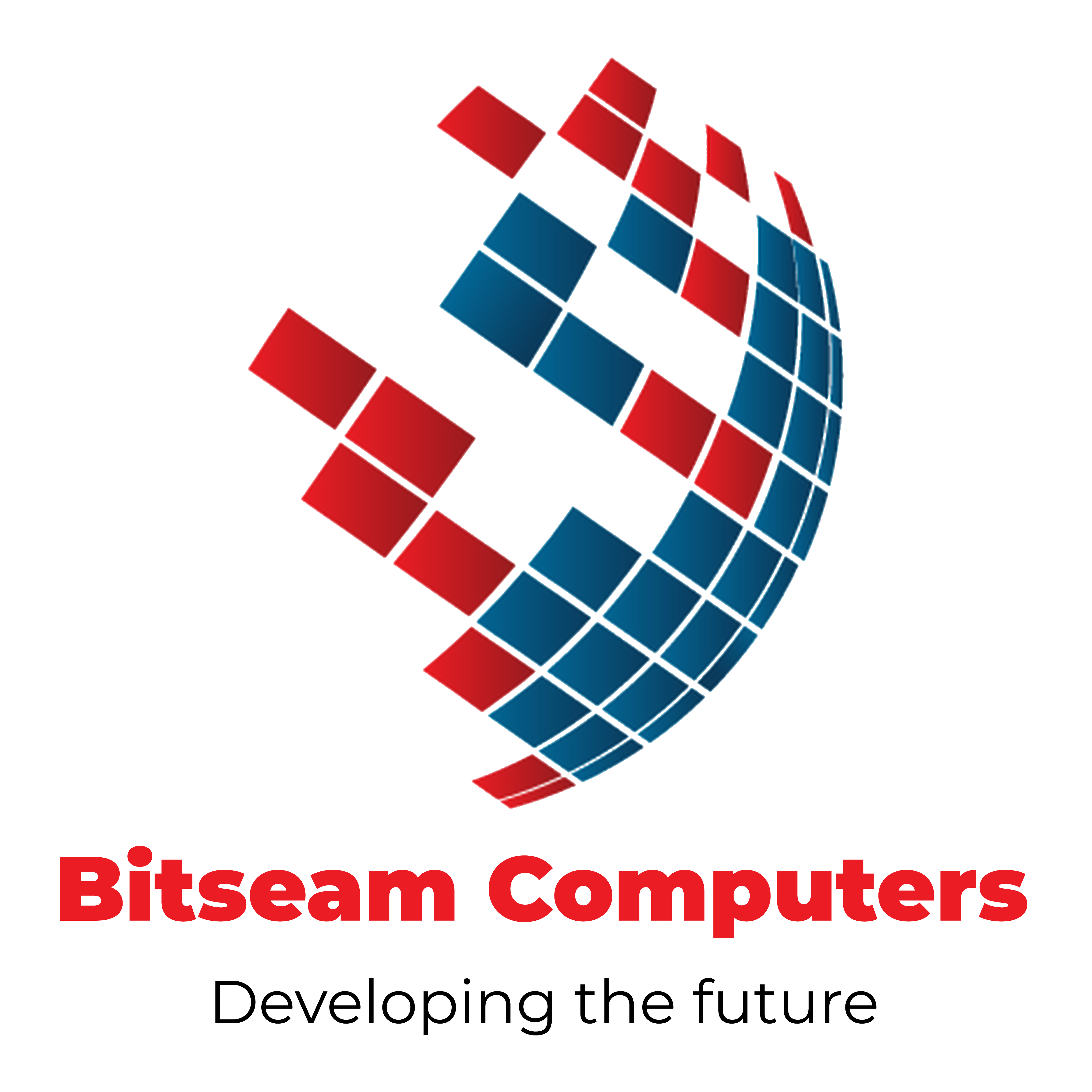 Bitseam Computers (Pty) Ltd